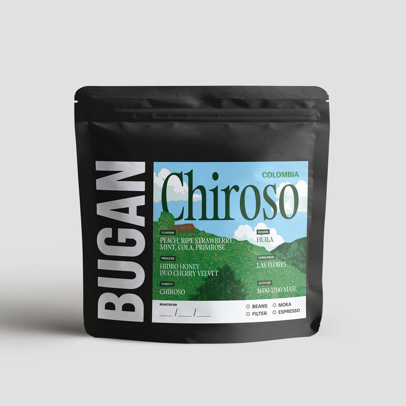 CHIROSO - COLOMBIA - COMPETITION LOTS