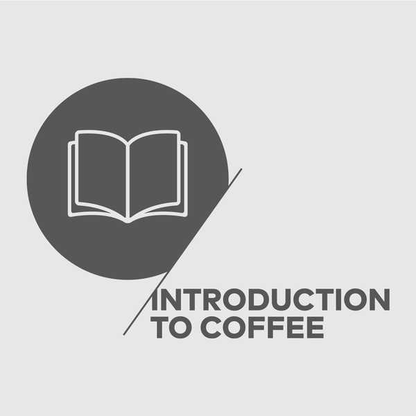 INTRODUCTION TO COFFEE