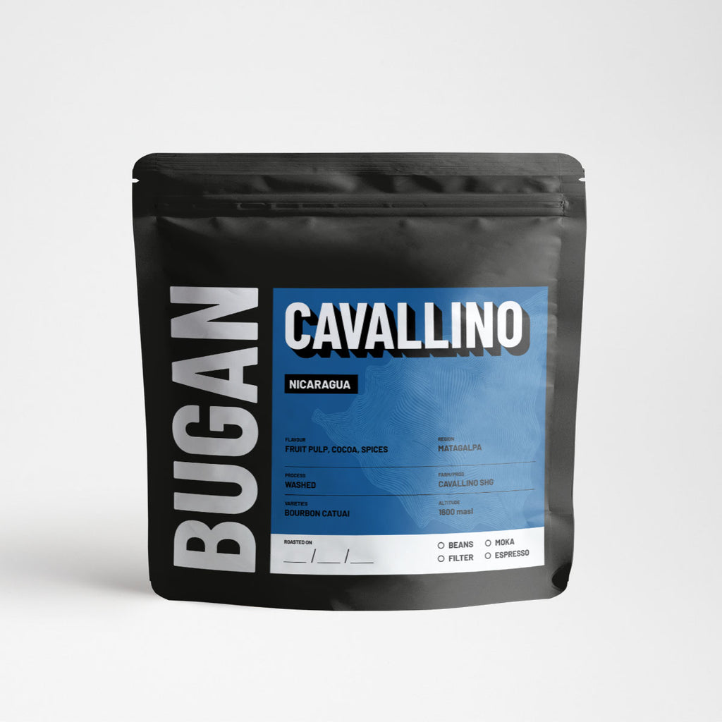 Photo of CAVALLINO – NICARAGUA – AGENTI
